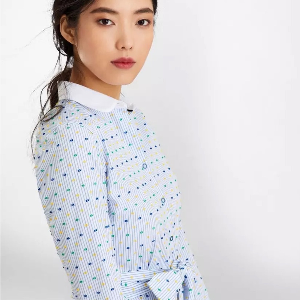 Brooks Brothers Clip-Dot Supima Cotton Dobby Shirt Dress.